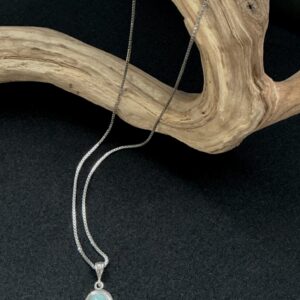 Larimar sterling pendant on a sterling box chain draped on a branch with black background
