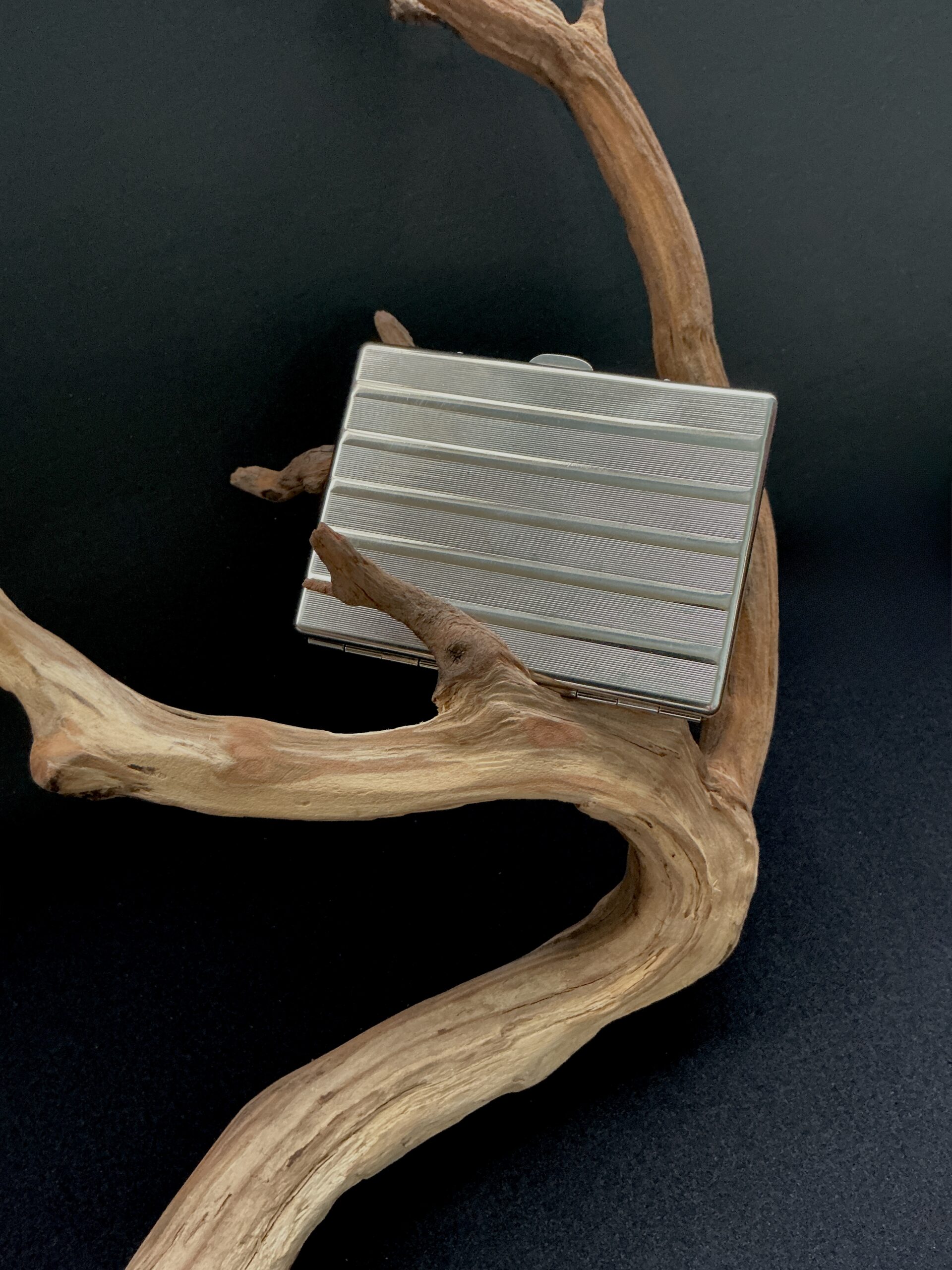 Vintage silver cigarette case perched on a branch with black background