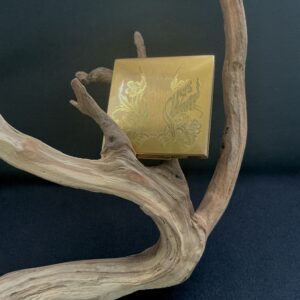 Elgin vintage portable gold tone vanity perched on a branch with a black background
