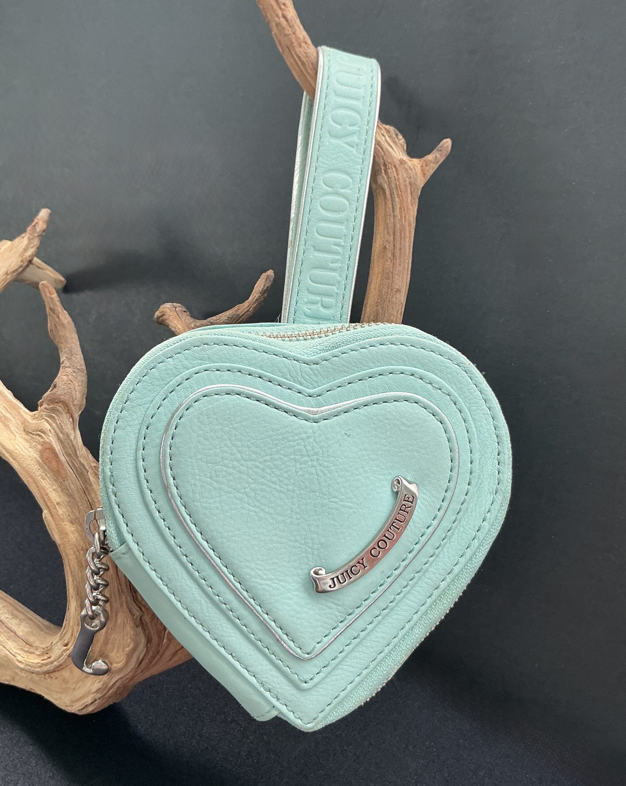 Aqua heart shaped wristlet hung on a branch with black background