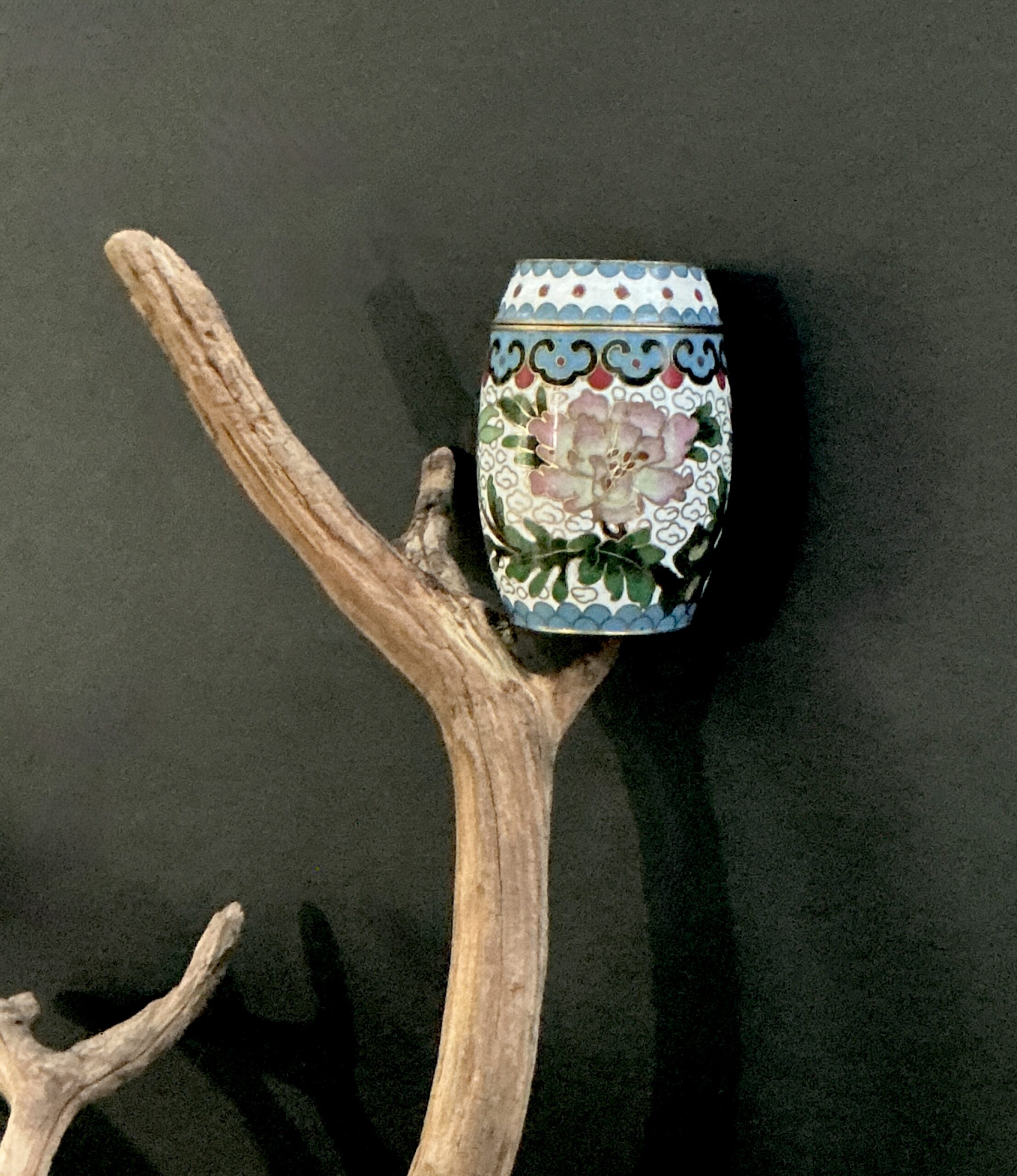 Cloisonne white trinket box perched on a branch with black background