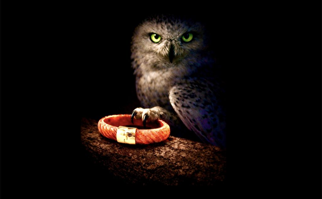 BushkaBlue wearable art: owl with green eyes guarding a bracelet